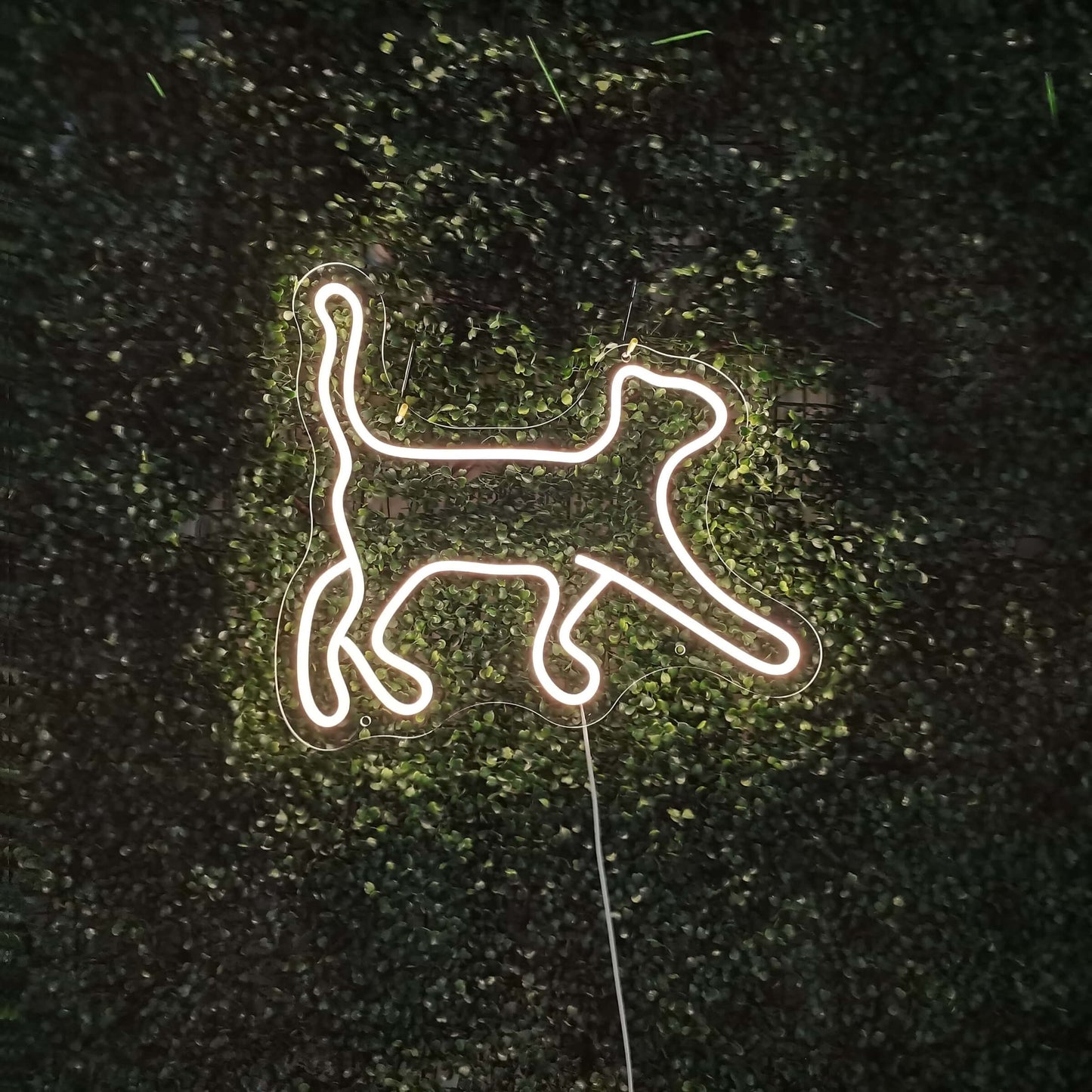 Cat Neon Sign - The Art Neon