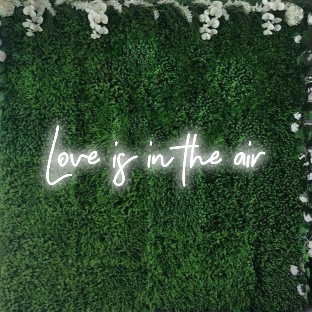 Levande LED-neonskylt som utstrålar Love Is In The Air-budskapet, perfekt för glödande dekor och skapa en romantisk atmosfär.