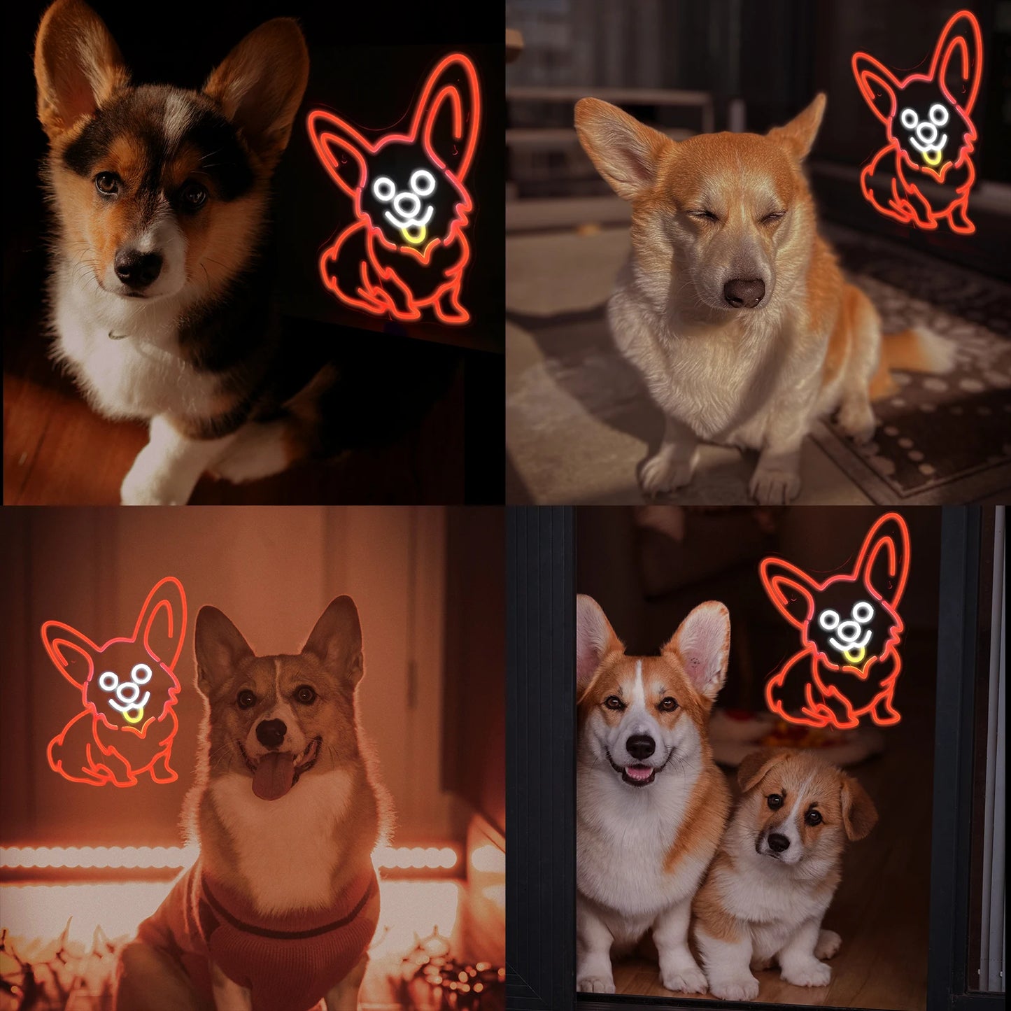 Corgi Hund Röd 5V USB LED Ljusskylt - Prisvänlig