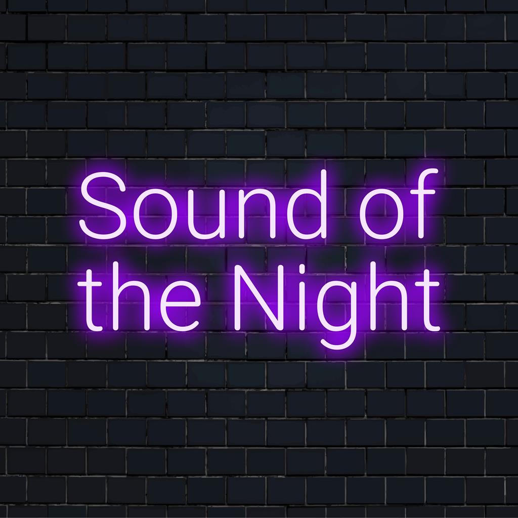 LED neonskylt med titeln Sound Of The Night som visar levande ljuskonst, perfekt för personlig inredning.