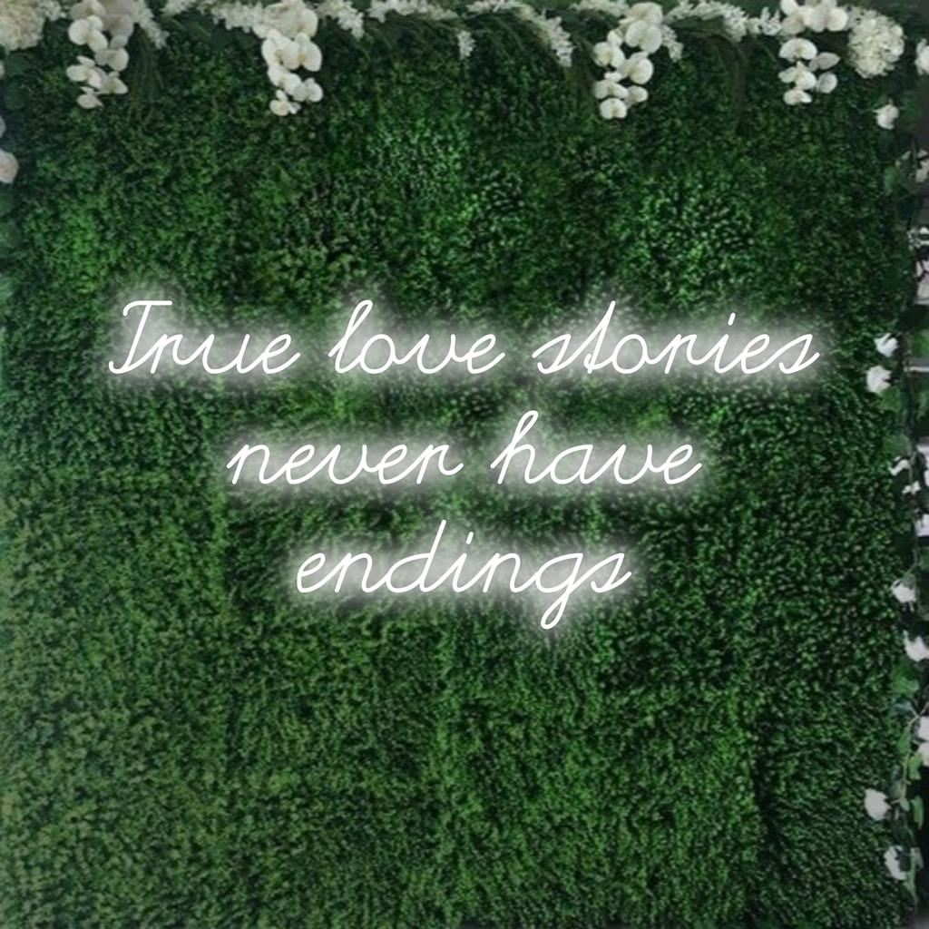 En livlig LED-neonskylt som läser True Love Stories Never Have Endings, perfekt för personlig inredning; iögonfallande neonljus.