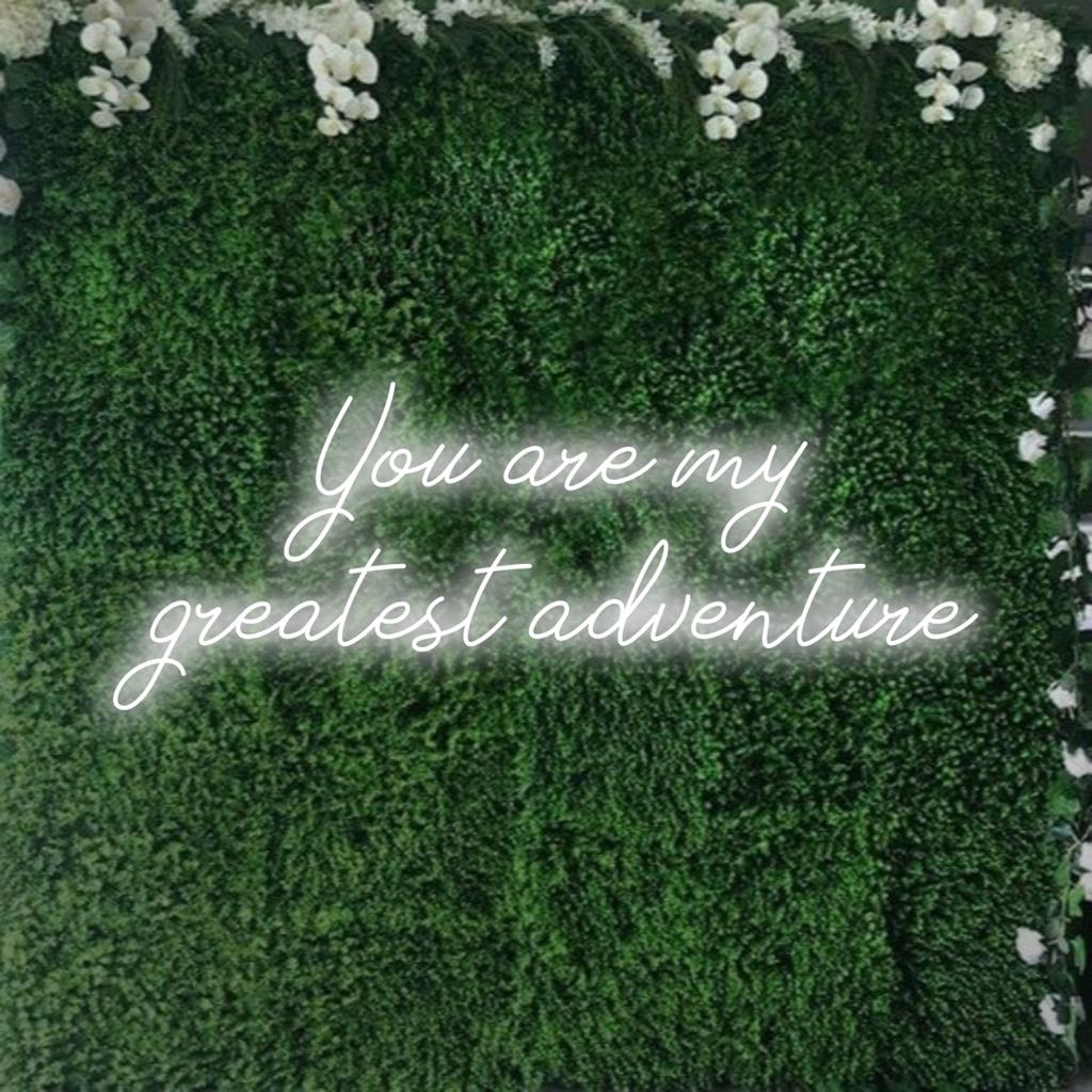 Specialdesignad LED-neonskylt med frasen You Are My Greatest Adventure, perfekt för personlig neondekor.