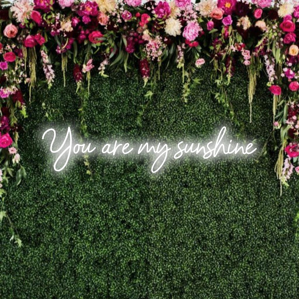 Anpassad LED neonskylt med texten You Are My Sunshine i ljust gult; ger en varm, personlig touch till ditt utrymme.