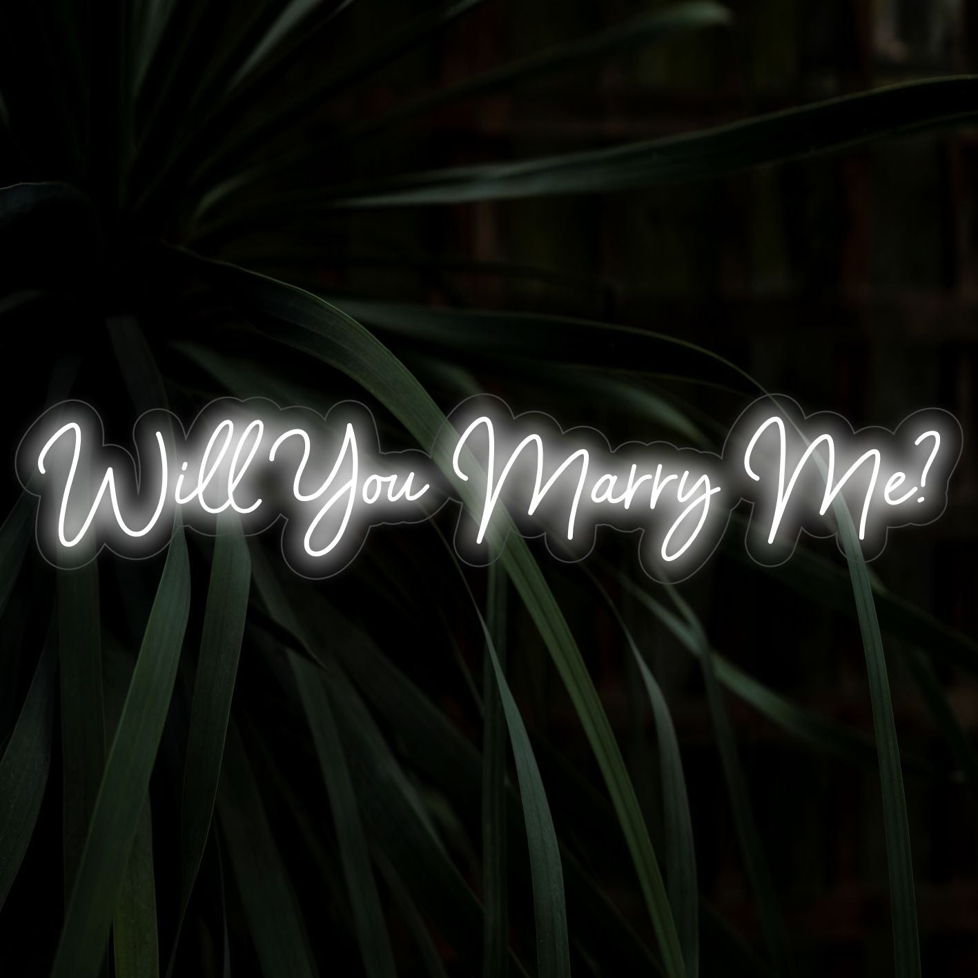 Will You Marry Me LED Neonskylt - The Art Neon