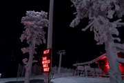 Festive LED neon sign among frosted winter trees