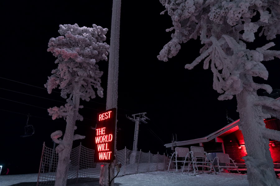 Festive LED neon sign among frosted winter trees