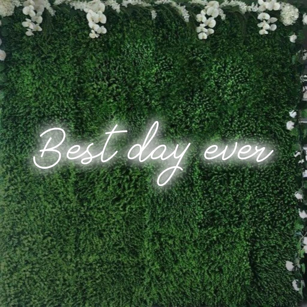 Bright Best Day Ever LED neonskylt; mångsidig anpassad inredning som inspirerar till positivitet och glädje.