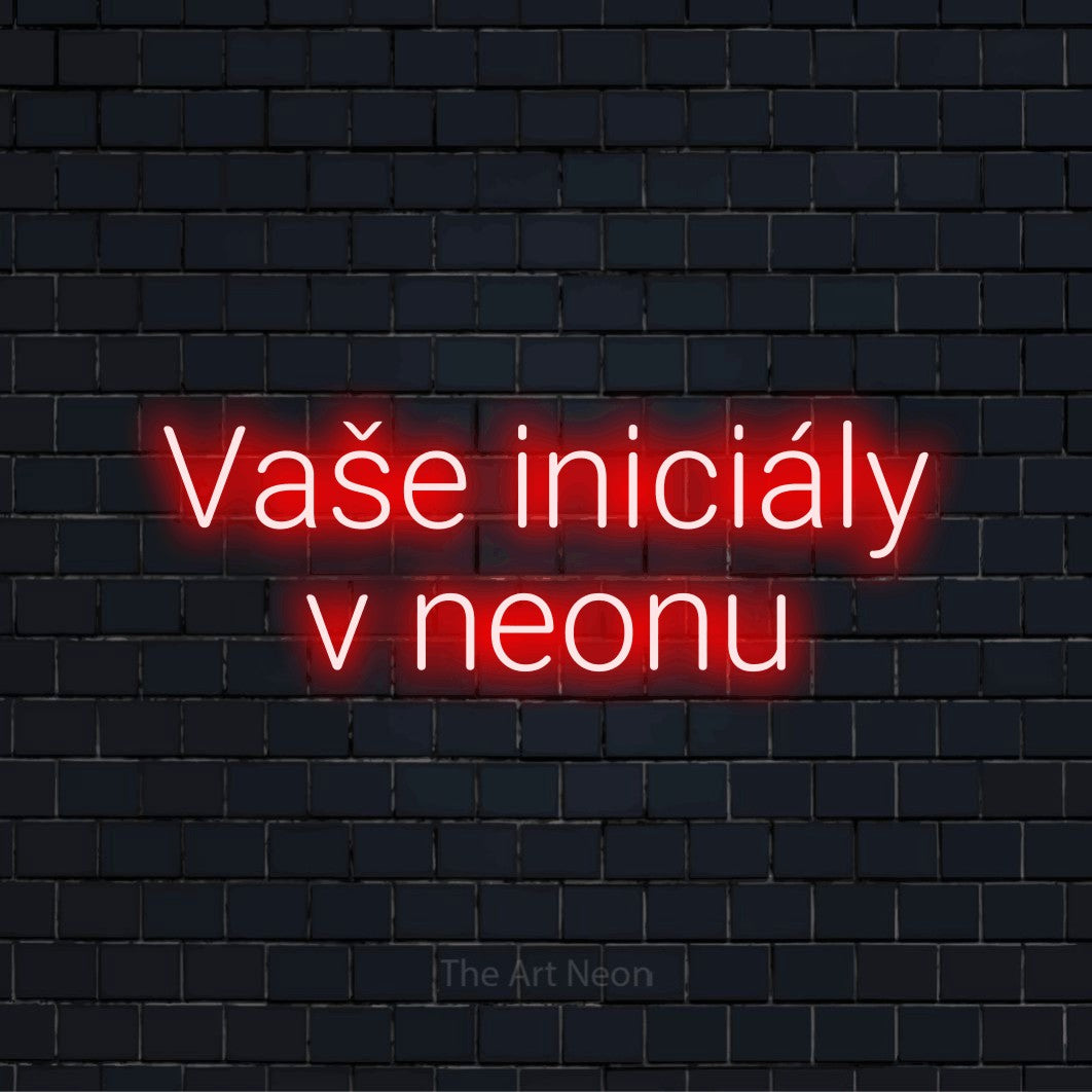 Neonový nápis na míru „Vaše iniciály v neonu“ na černé cihlové zdi