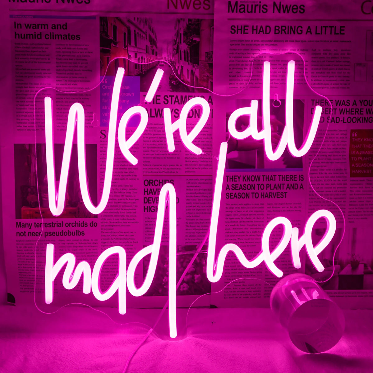 En glödande LED-neonskylt som visar frasen "We're All Mad Here" i ett nyckfullt, kursivt teckensnitt.