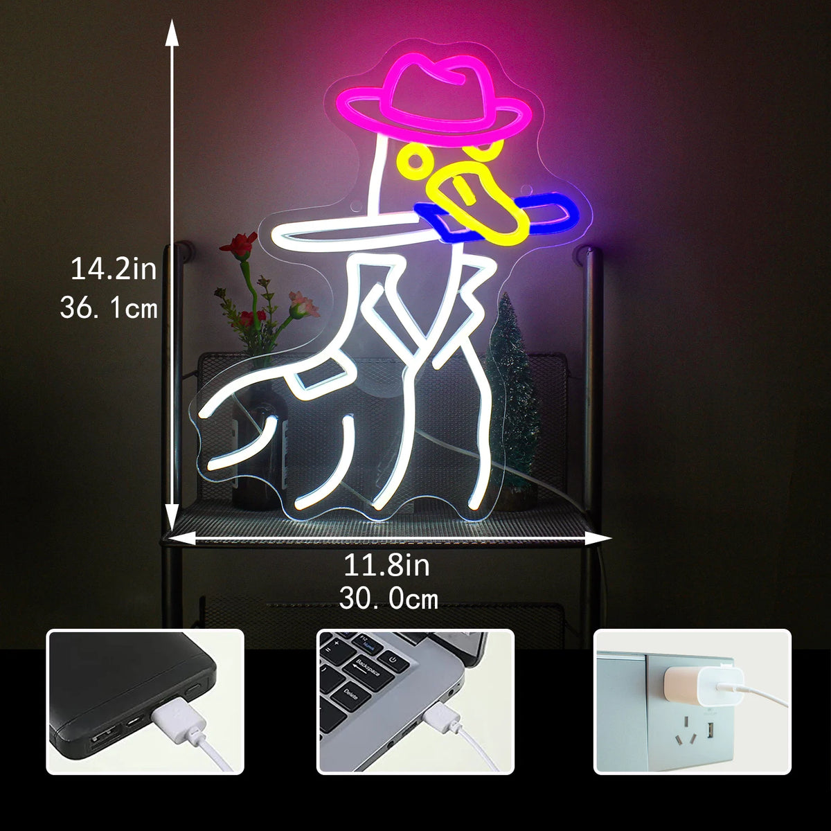 Anka med cowboyhatt – LED-neonskylt (5 V USB)