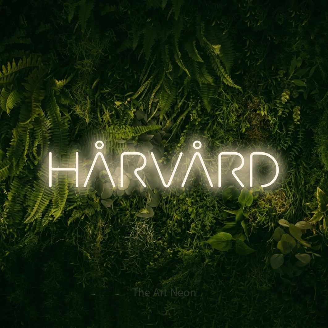 LED neon sign reading “HÅRVÅRD”, arranged in a single line.