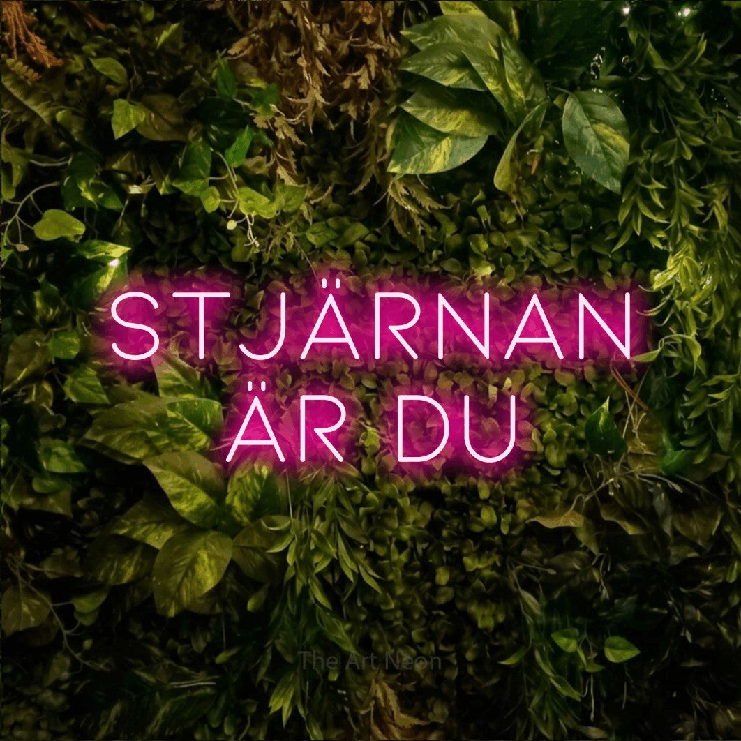 LED neon sign reading “stjärnan är du”, arranged in 2 lines.