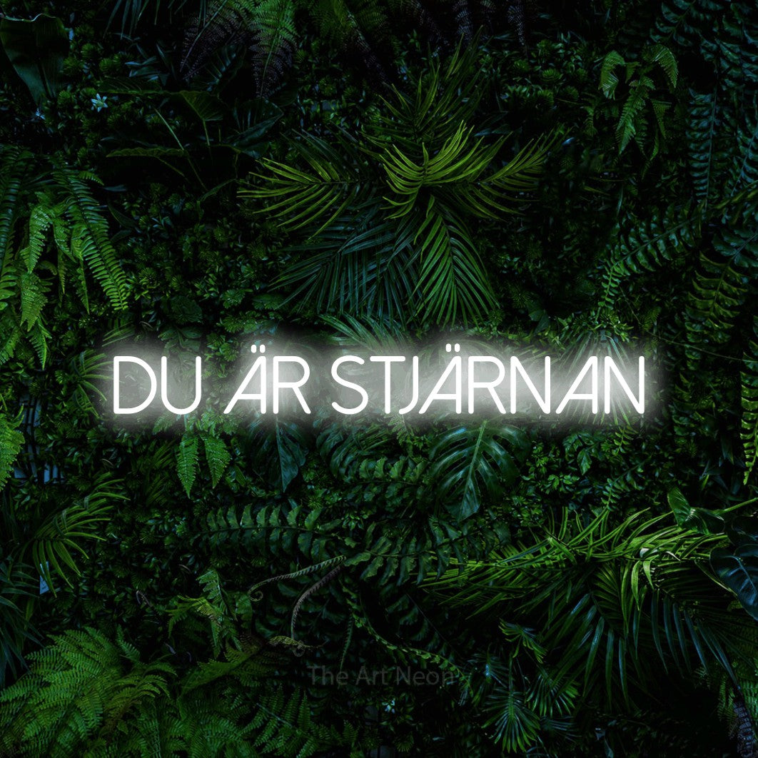 LED neon sign reading “Du Är Stjärnan”, arranged in a single line.
