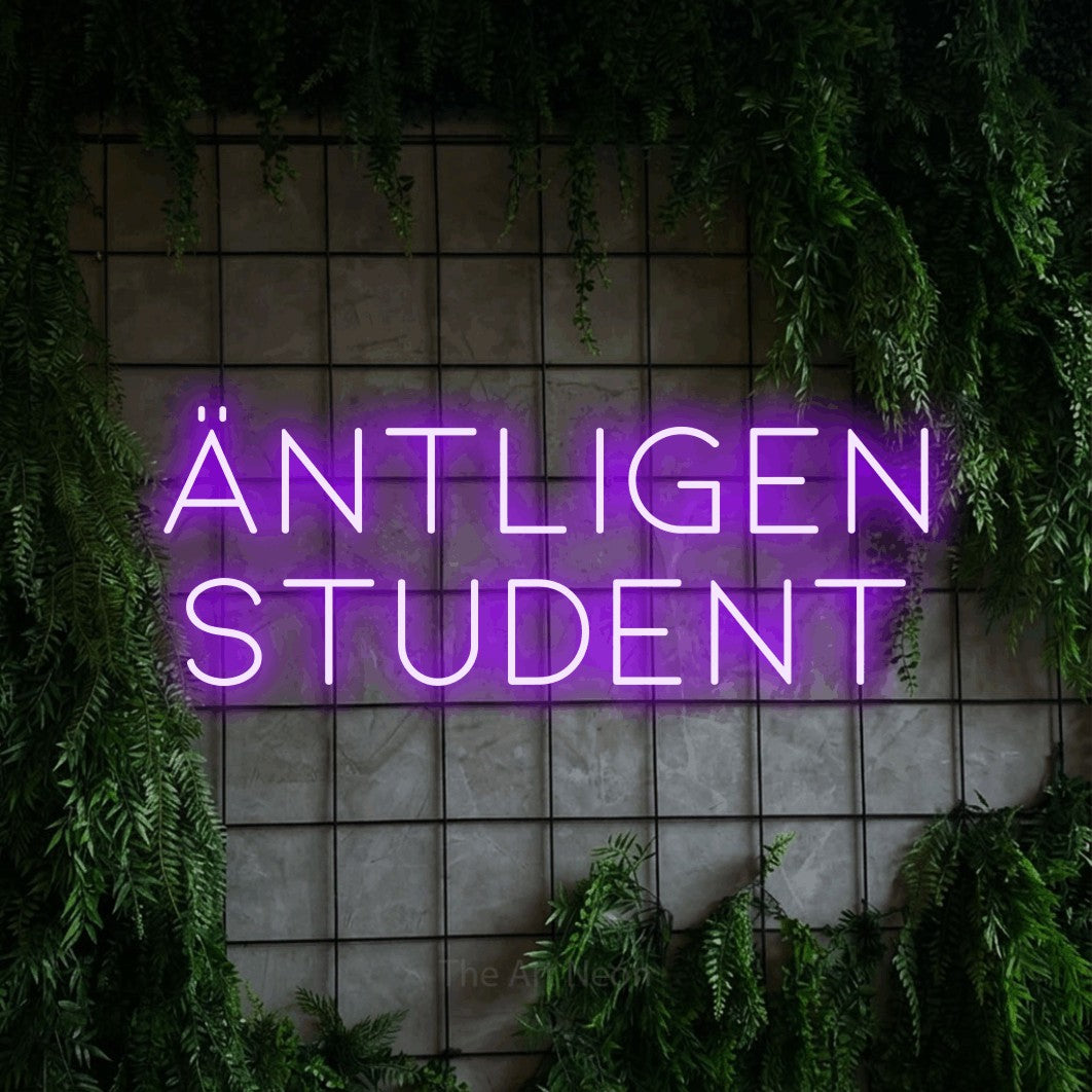 LED neon sign reading “Äntligen Student”, arranged in 2 lines.