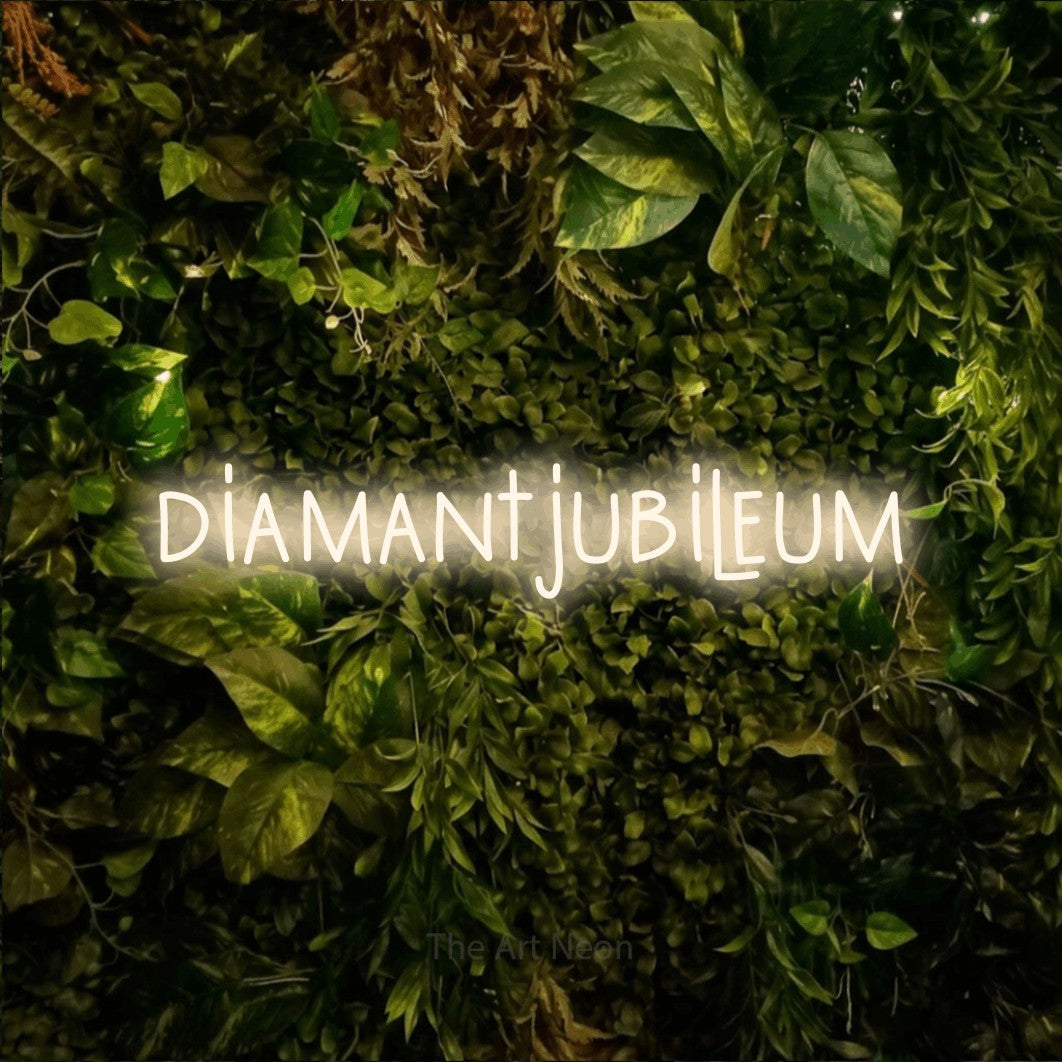 LED neon sign reading “diamantjubileum”, arranged in a single line.