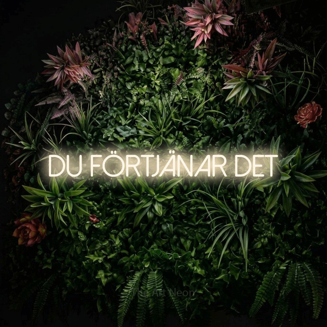 LED neon sign reading “Du Förtjänar Det”, arranged in a single line.