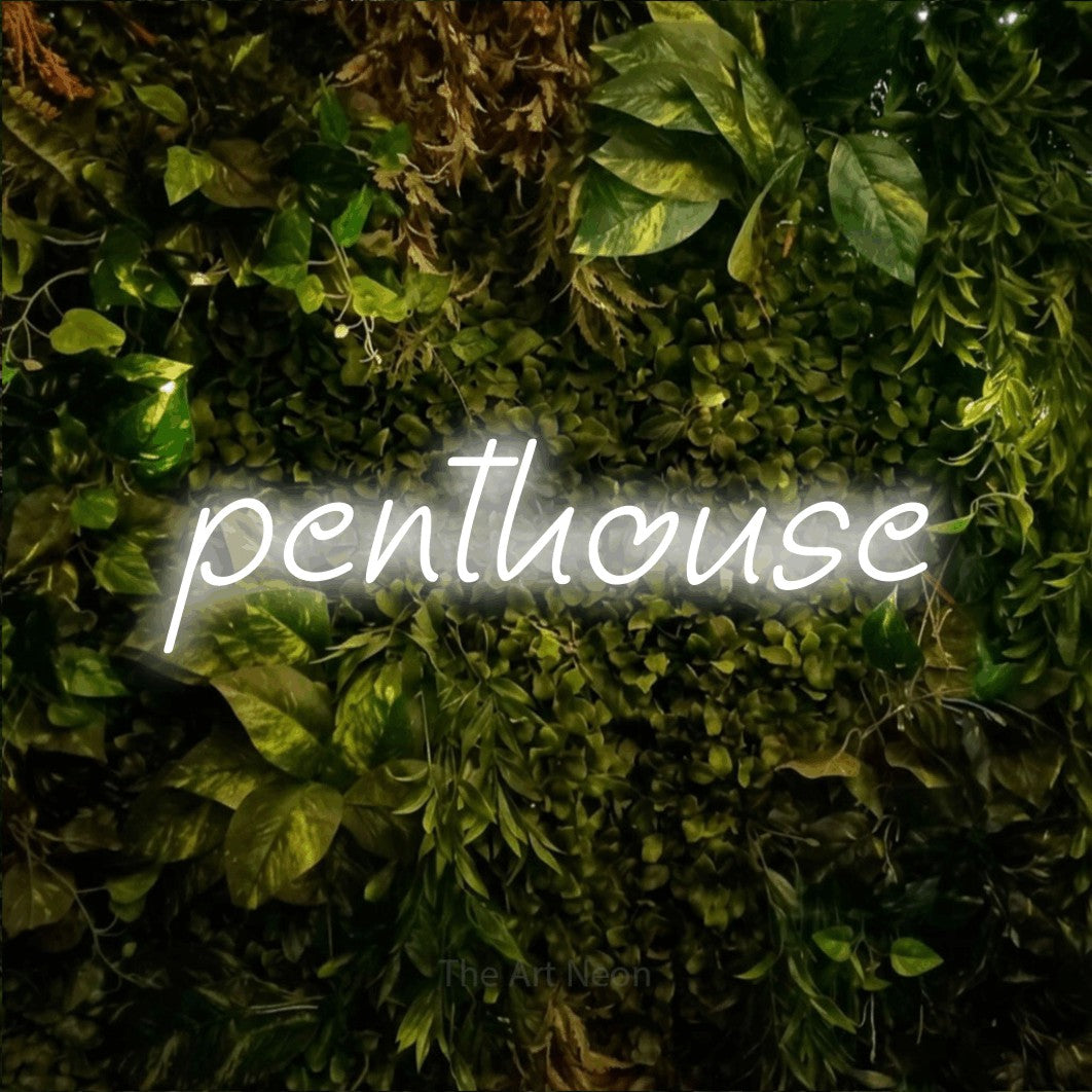 LED neon sign reading “penthouse”, arranged in a single line.