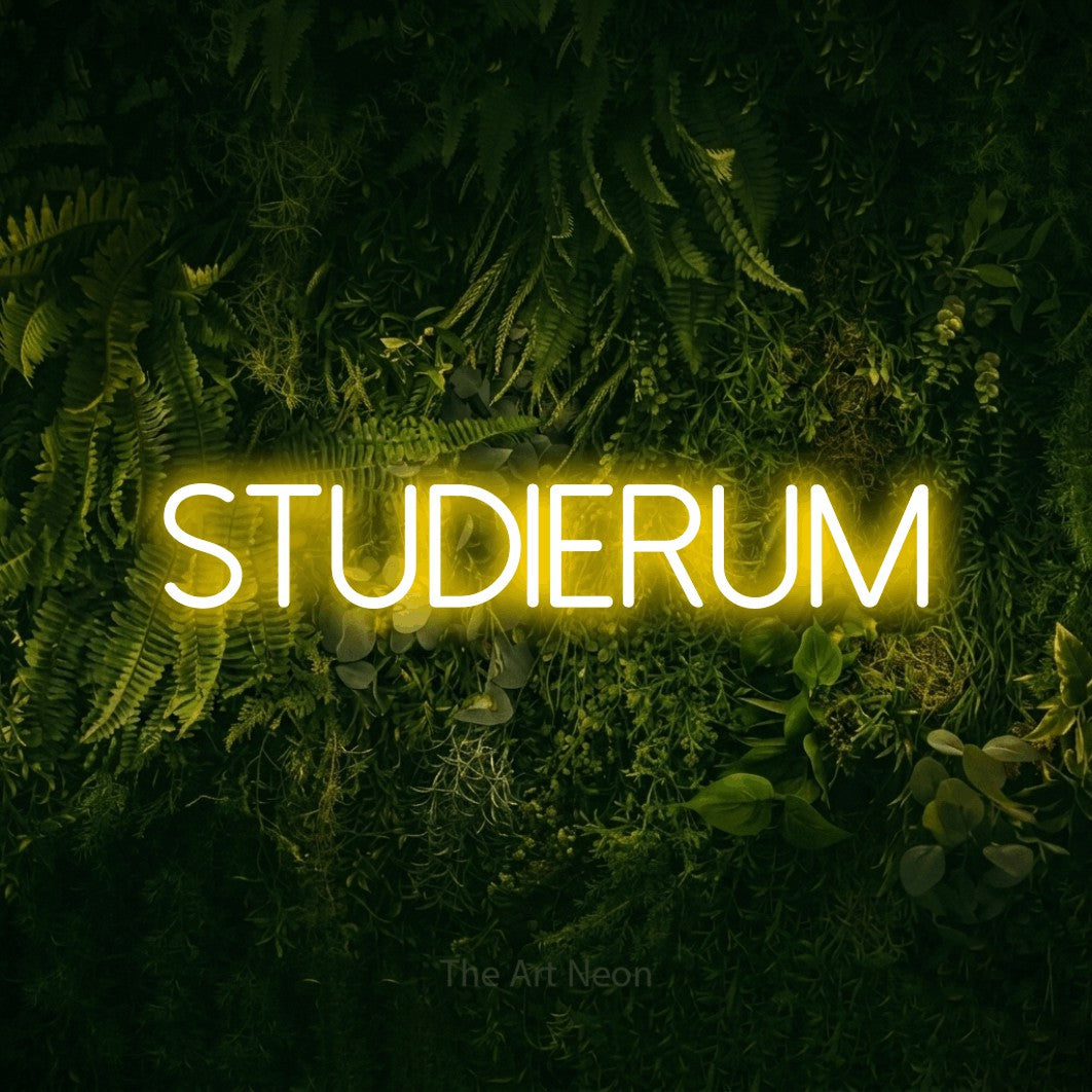 LED neon sign reading “STUDIERUM”, arranged in a single line.