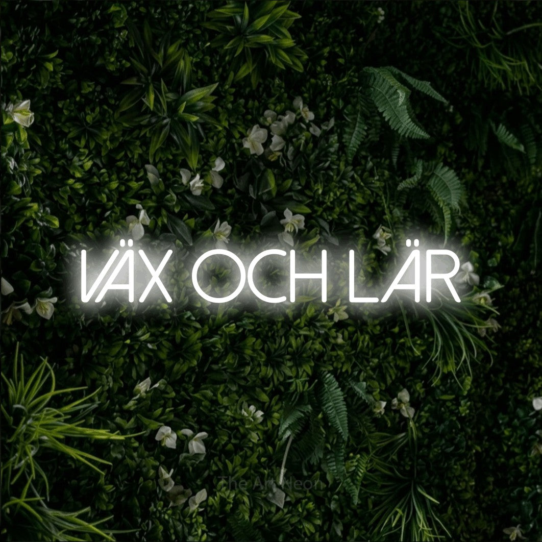 LED neon sign reading “VÄX OCH LÄR”, arranged in a single line.