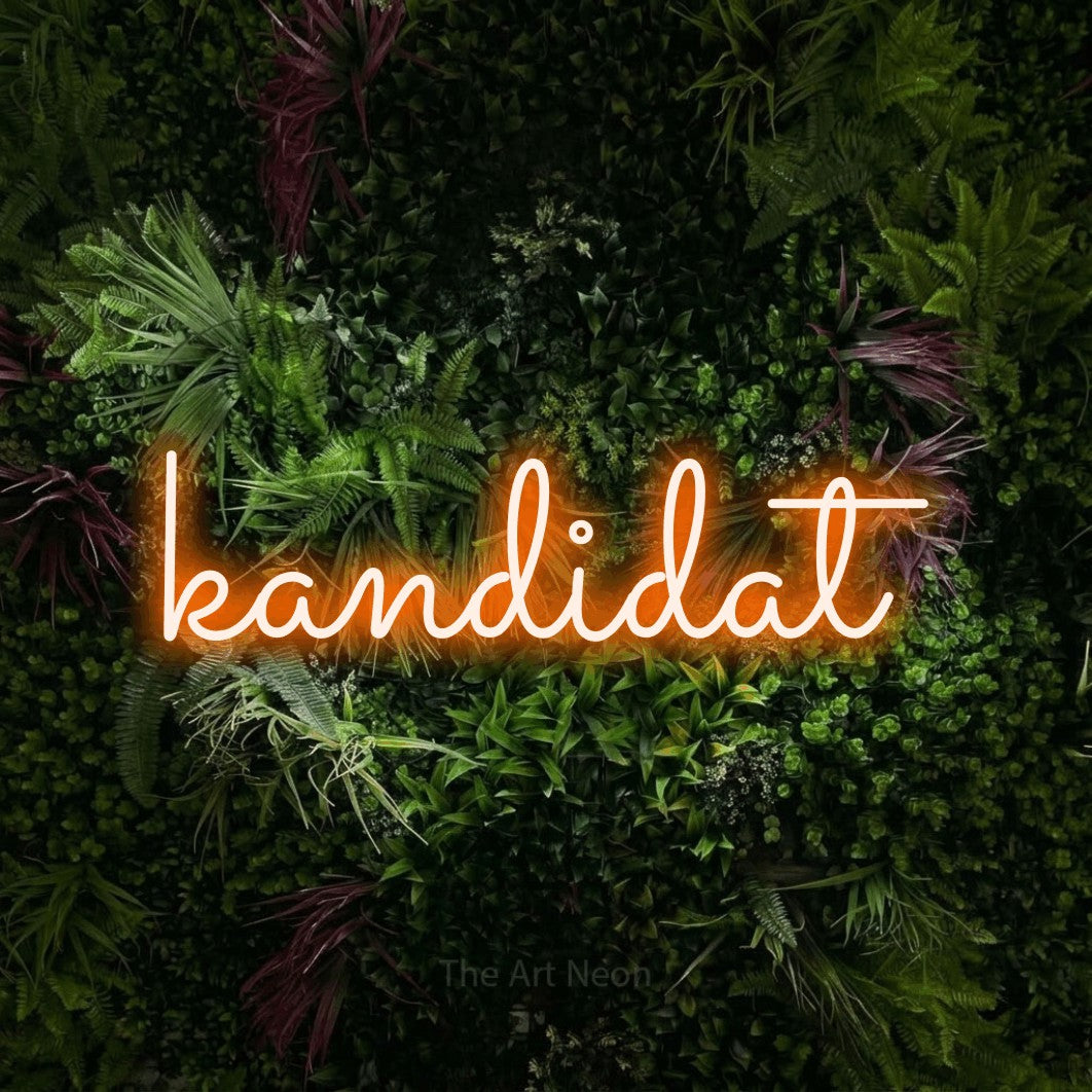LED neon sign reading “kandidat”, arranged in a single line.