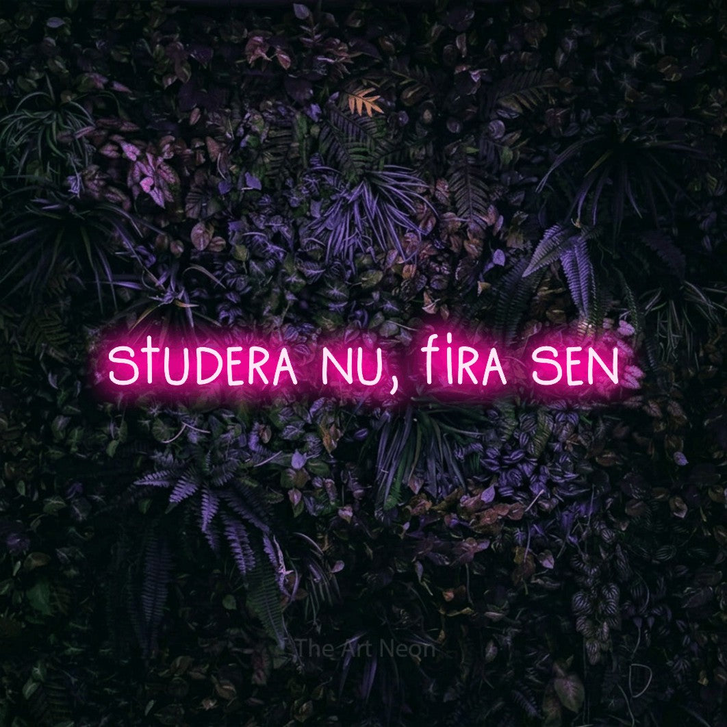 LED neon sign reading “studera nu, fira sen”, arranged in a single line.