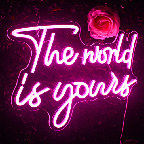 The World Is Yours – LED-neonskylt (5 V USB)