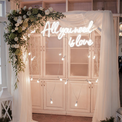 All You Need is Love - Wedding 5V Mini USB LED Neon Signs