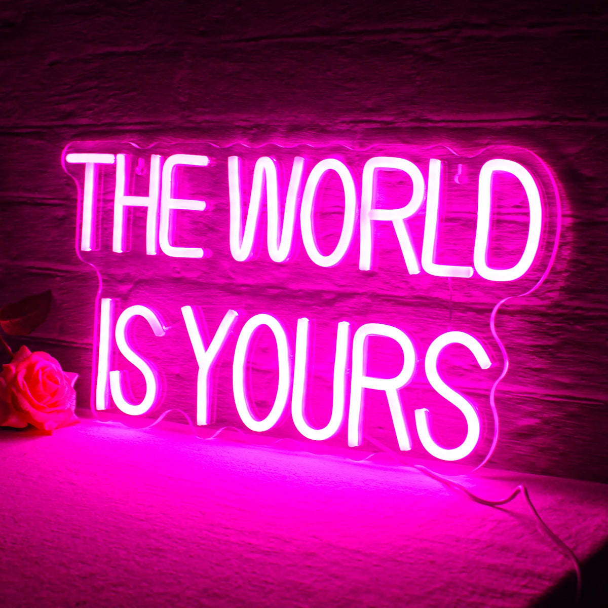 The World Is Yours – LED-neonskylt (5 V USB)