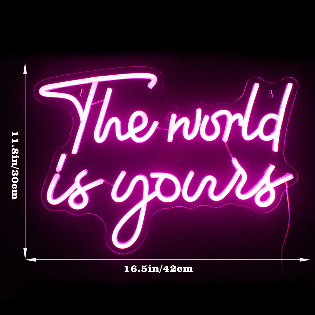 The World Is Yours – LED-neonskylt (5 V USB)