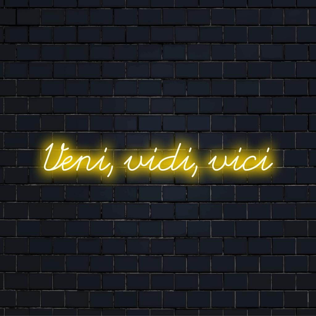 Anpassad LED neonskylt med Veni, Vidi, Vici, perfekt för att ge en unik touch till alla miljöer.