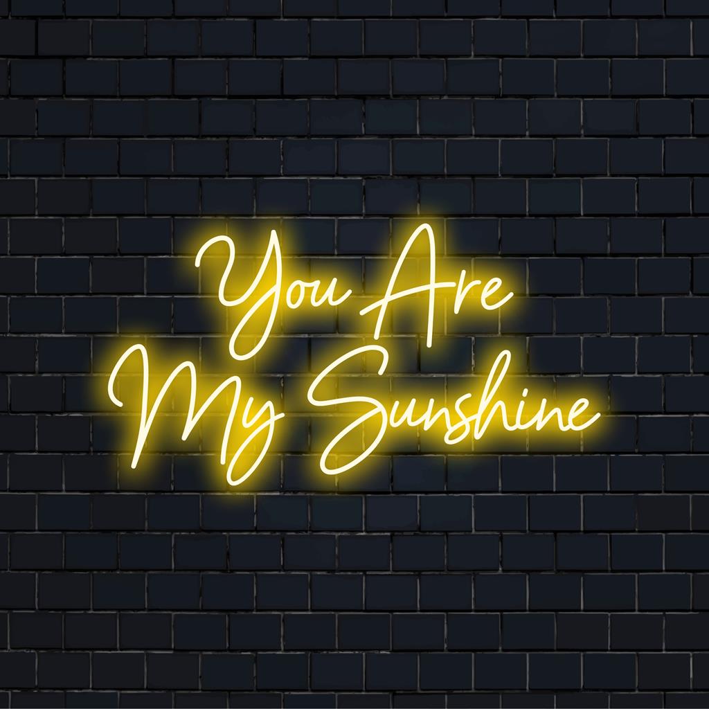 Anpassad LED neonskylt stavning You Are My Sunshine; lägger till levande neonljusdekor till alla utrymmen.