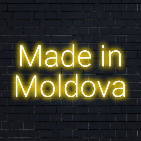 Made In Moldova LED Neon Sign, neon text light against black brick wall