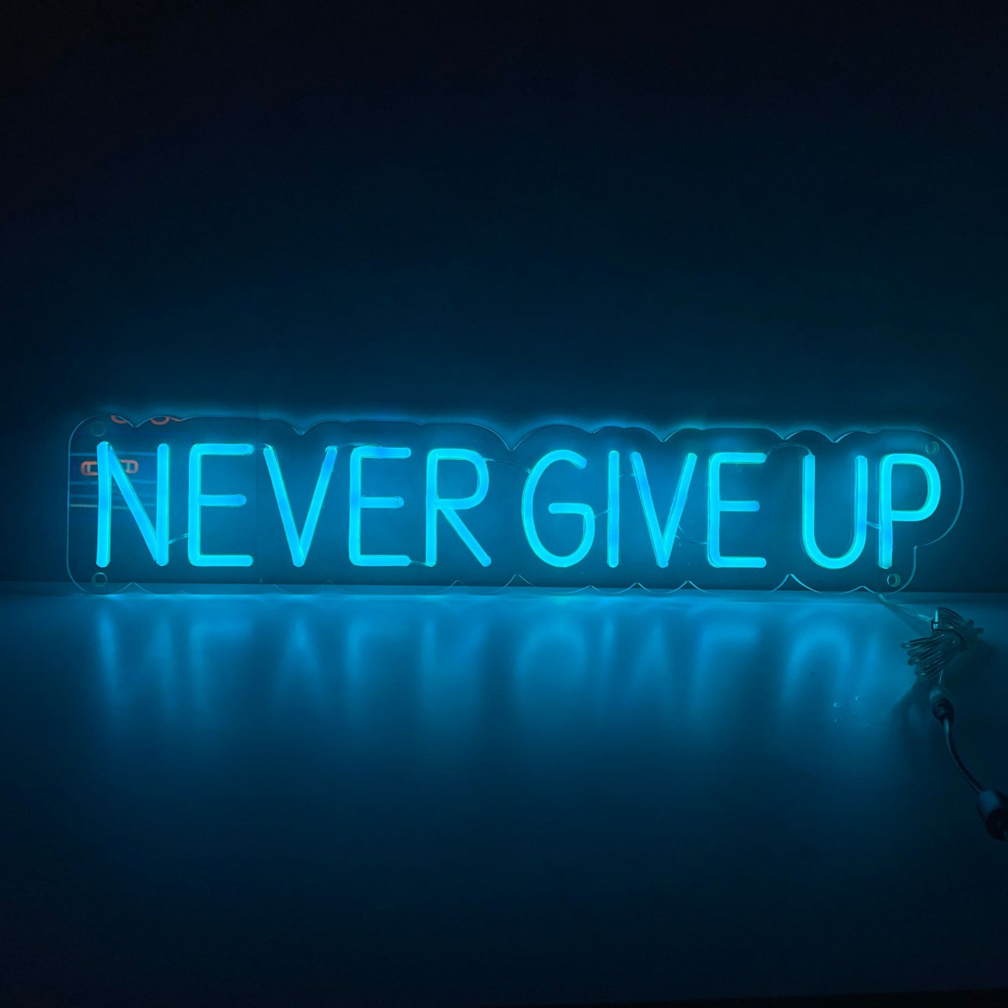 Never Give Up Neon Sign - The Art Neon