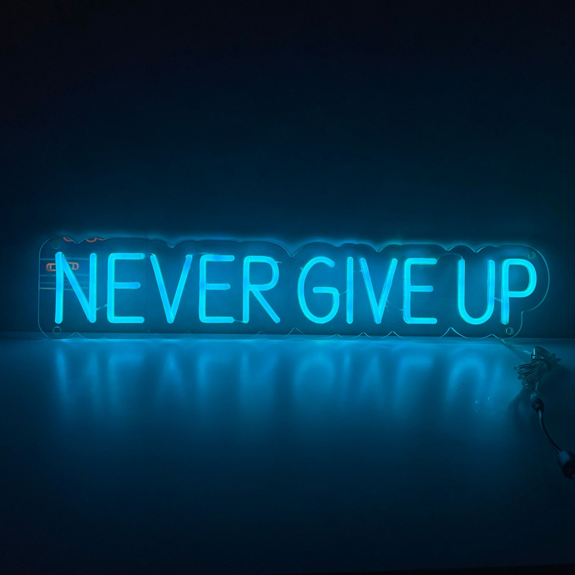 Never Give Up Neon Sign - The Art Neon