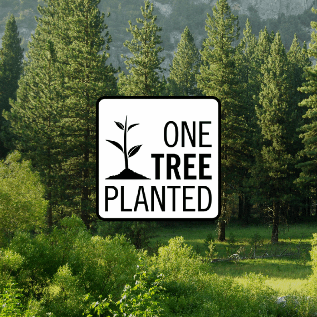 Plantera ett träd