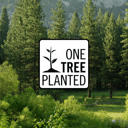 Plantera ett träd