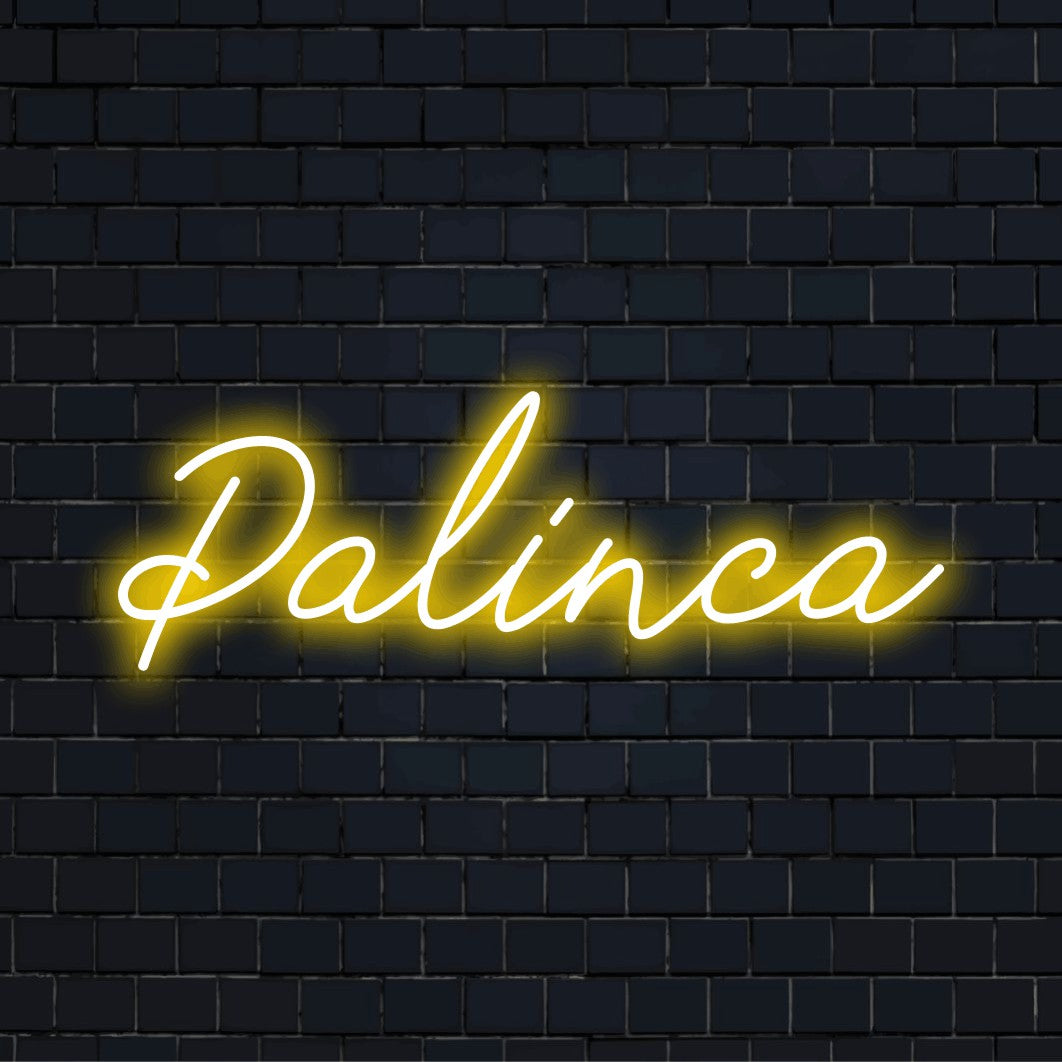 Palinca Neon Sign, bright LED glow against brick backdrop