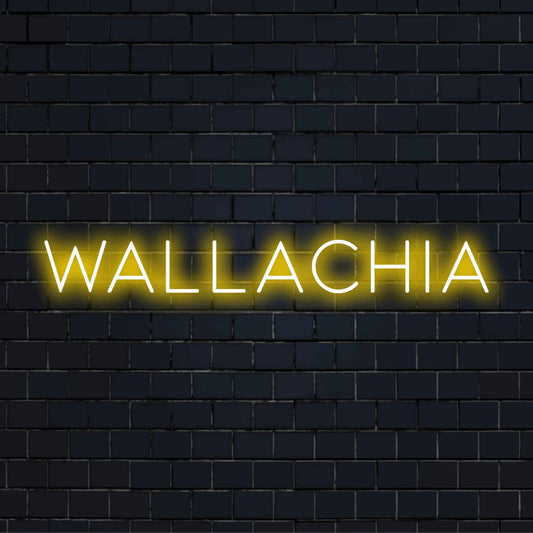 Wallachia LED Neon Sign, glowing lettering against brick backdrop